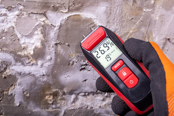 Professional Mold Remediation in Sparta, WI